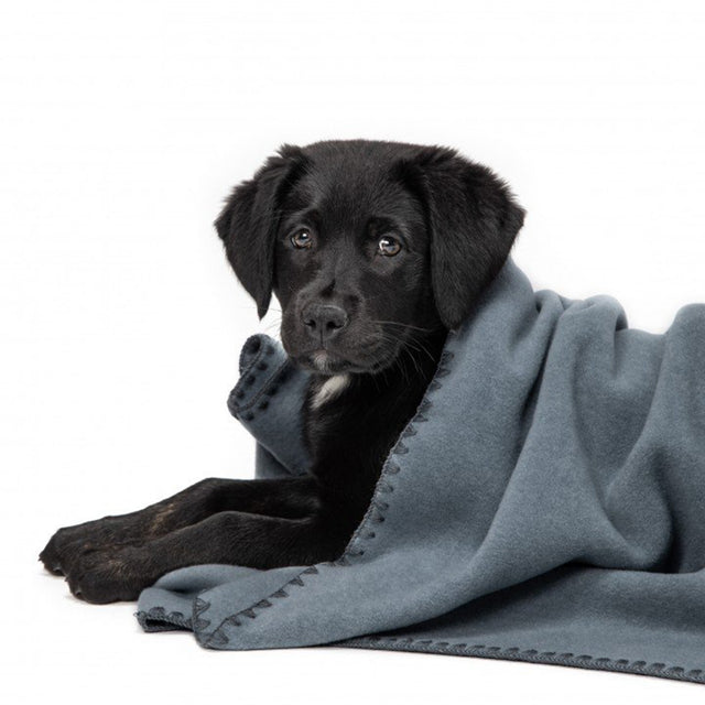 Cloud7 Hundedecke Soft Fleece | Dove Blue Hundedecke
