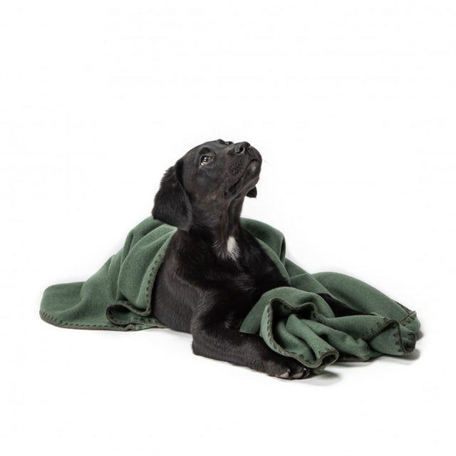 Cloud7 Hundedecke Soft Fleece | Dusty Green Hundedecke