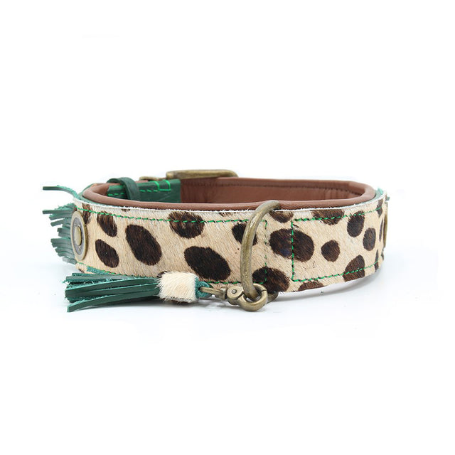 Hundehalsband | Ivy