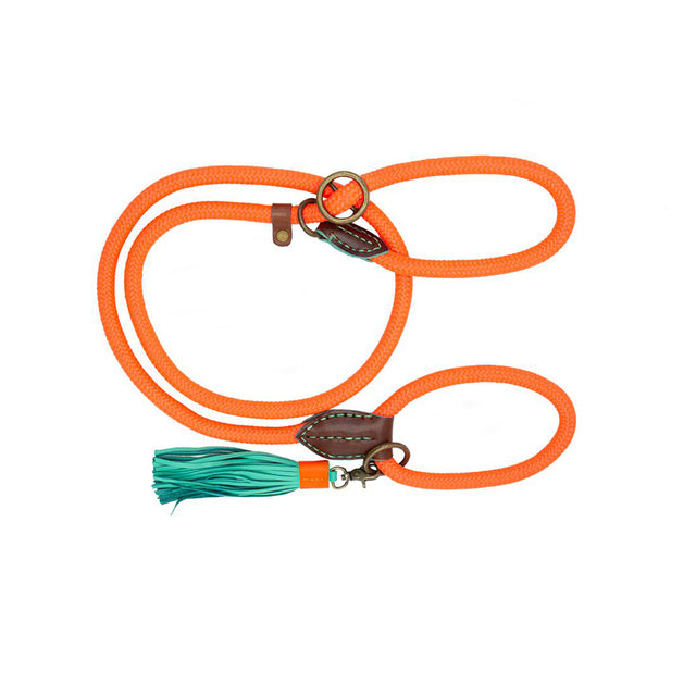 Dog with a Mission Schlupfleine | Long John Carrot Cake Hundeleine