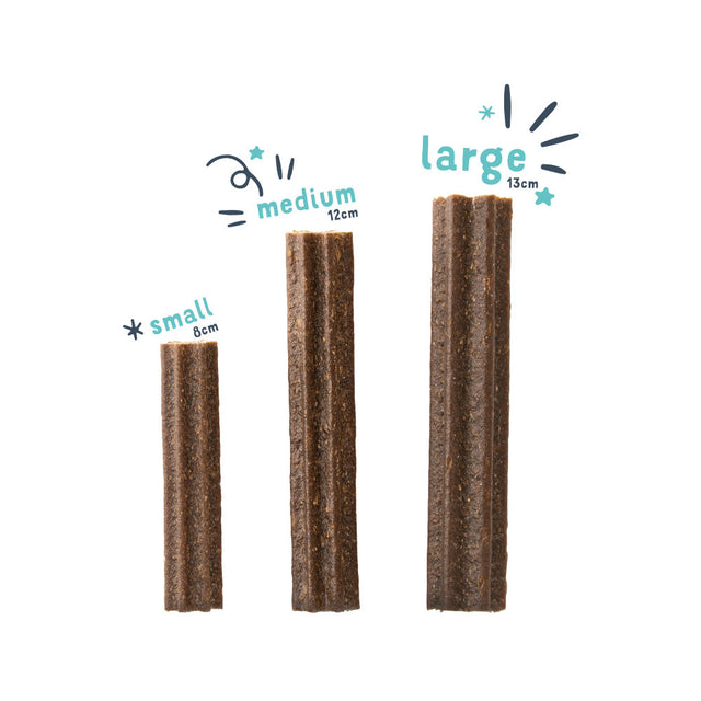 Edgard Cooper Doggy Dental Apple & Eucalyptus Zahnpflege