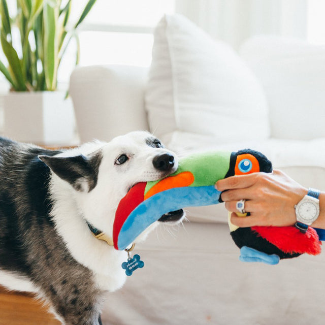P.L.A.Y. Hundespielzeug | Tito the Toucan Stoffspielzeug