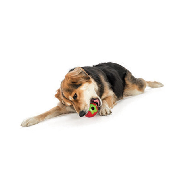 Hundespielzeug Orbee-Tuff® | Erdbeere