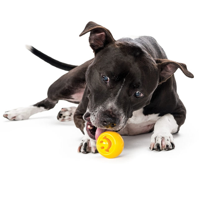 Planet Dog Hundespielzeug Orbee-Tuff® Nook | Green Paw Bälle