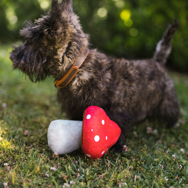 P.L.A.Y. Hundespielzeug | Mutt's Mushroom Stoffspielzeug