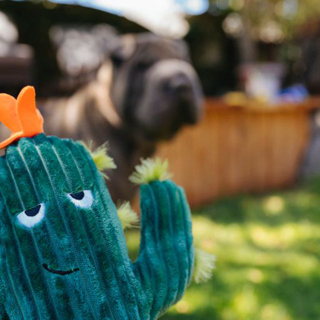 P.L.A.Y. Hundespielzeug | Prickly Pup Cactus Stoffspielzeug