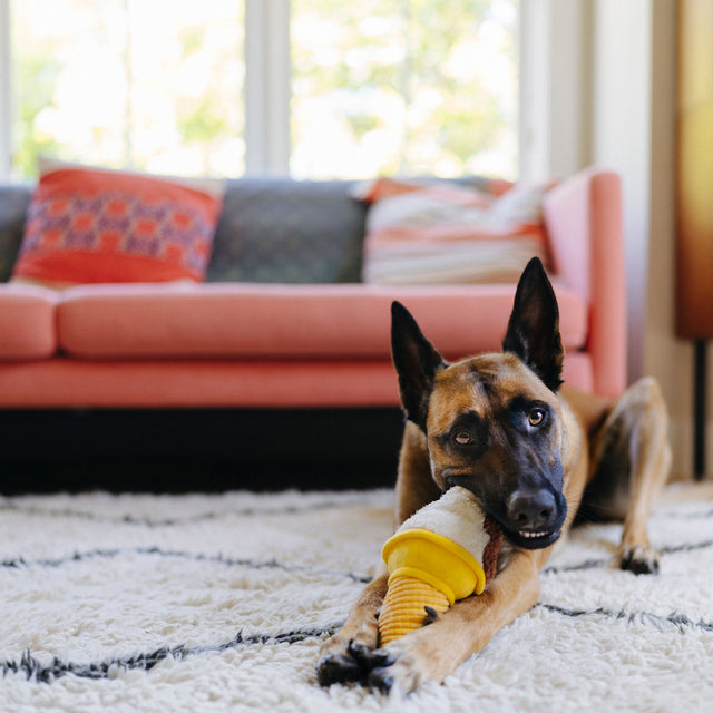 P.L.A.Y. Hundespielzeug, Swirls n Slobbers Soft Serve Stoffspielzeug