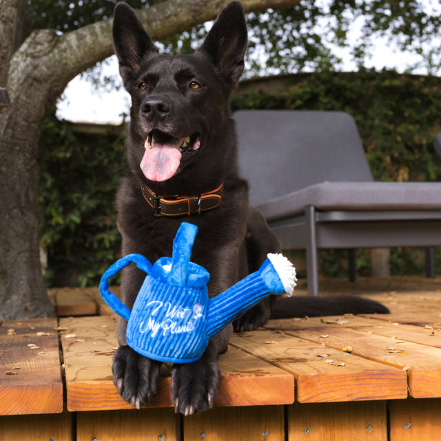 P.L.A.Y. Hundespielzeug | Wagging Watering Can Stoffspielzeug
