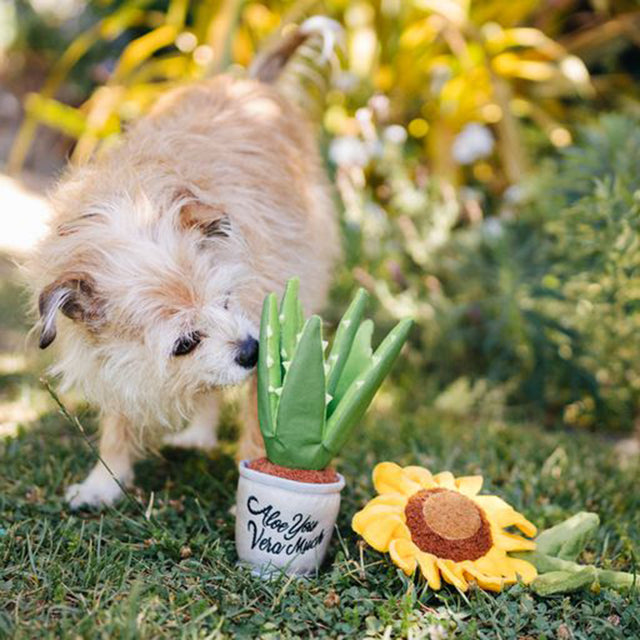 P.L.A.Y. Hundespielzeug | Aloe-ve You Plant Stoffspielzeug