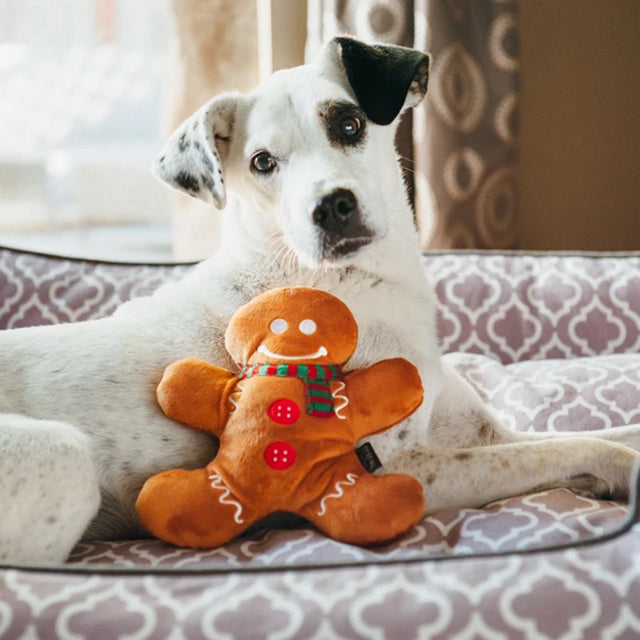 P.L.A.Y. Hundespielzeug | Holly Jolly Gingerbread Man Stoffspielzeug