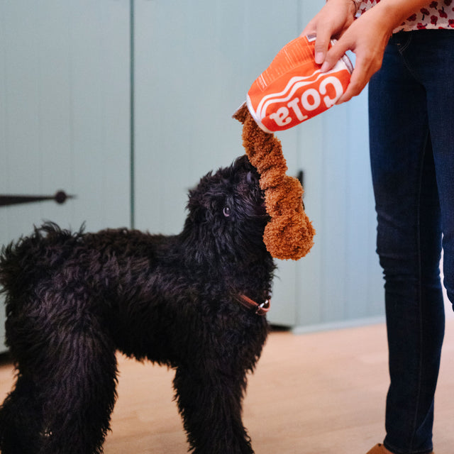 P.L.A.Y. Hundespielzeug, Good Boy Cola Stoffspielzeug