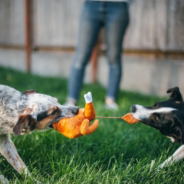 P.L.A.Y. Hundespielzeug | Whole Turkey Stoffspielzeug