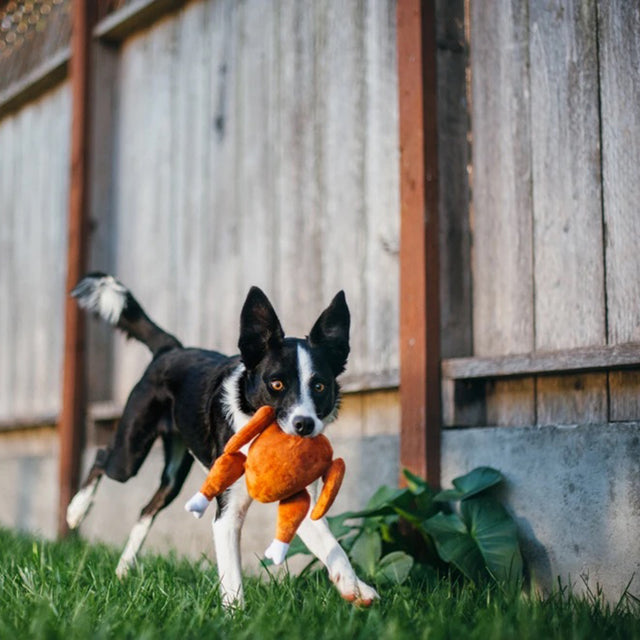 P.L.A.Y. Hundespielzeug | Whole Turkey Stoffspielzeug