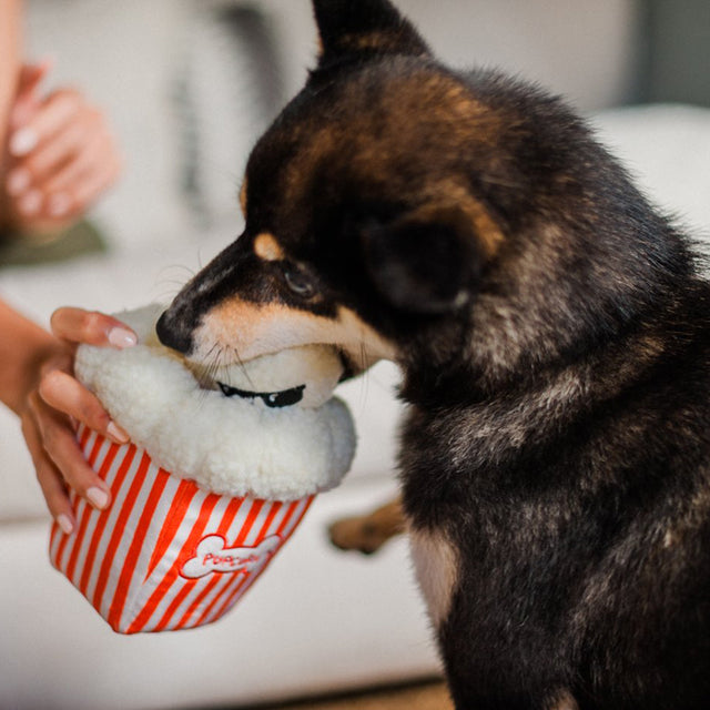 P.L.A.Y. Hundespielzeug | Poppin’ Pupcorn Stoffspielzeug
