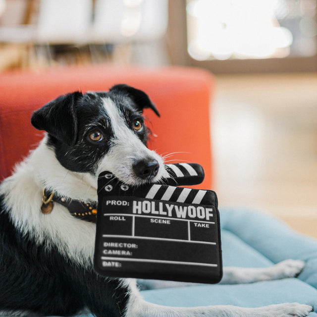 P.L.A.Y. Hundespielzeug | Doggy Director Board Stoffspielzeug