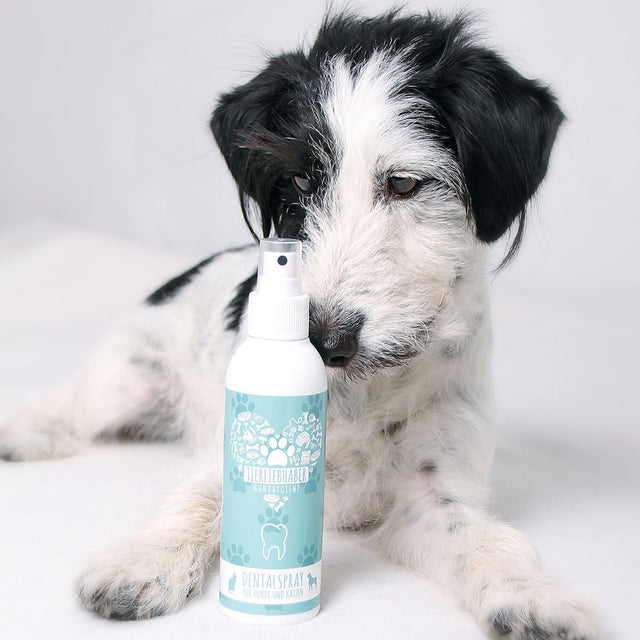 Tierliebhaber Dental-Spray Zahnpflege