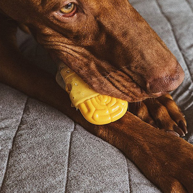 Zee.Dog Hundespielzeug Brain Fried Interaktiv