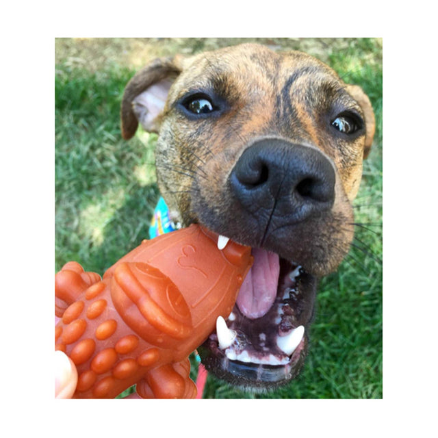 Whimzees Kausnack vegan | Alligator Large Zahnpflege für Hunde