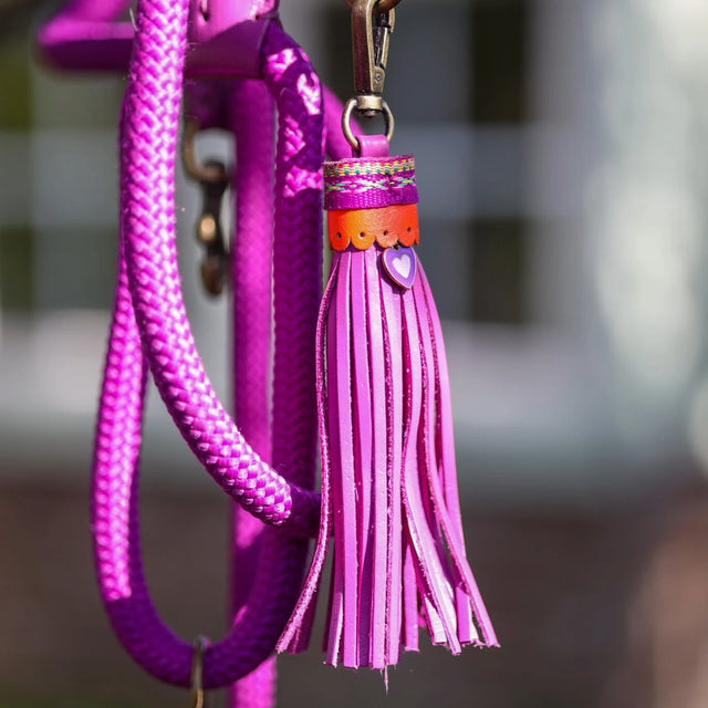 Dog with a Mission Hundeleine, Spice Hundeleine