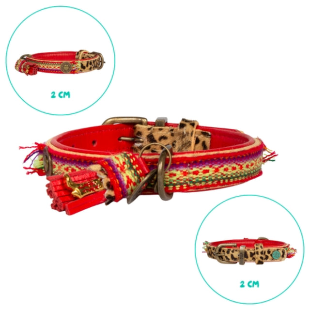 Dog with a Mission Hundehalsband, Gypsy Hundehalsband