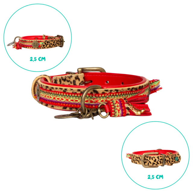 Dog with a Mission Hundehalsband, Gypsy Hundehalsband