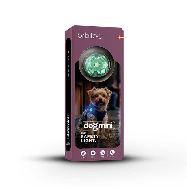 Dog MINI, Mint