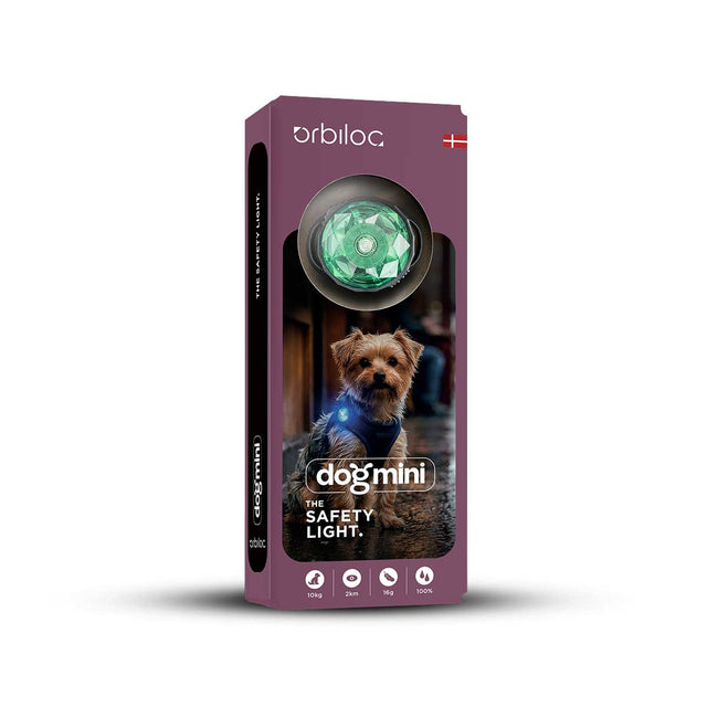 Dog MINI, Mint