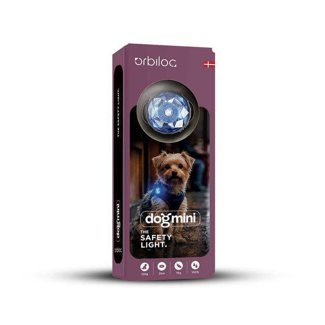 Dog MINI, Sky Blue
