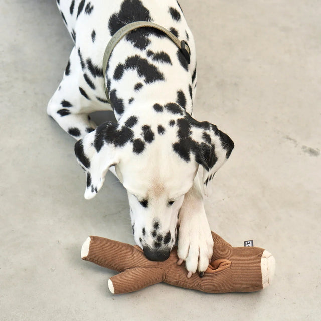 MiaCara Schnüffelspielzeug Foresta, Ast Braun Interaktiv