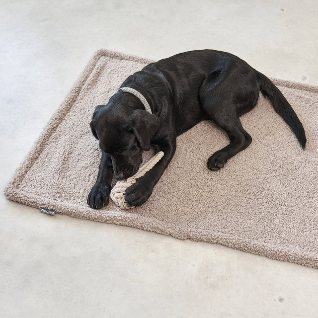 MiaCara Hundedecke Senso, Greige Hundedecke