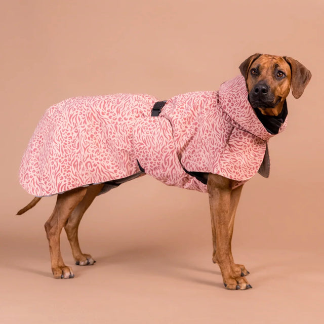 PAIKKA Hundewintermantel, Visibility Red Mix Hundewintermantel