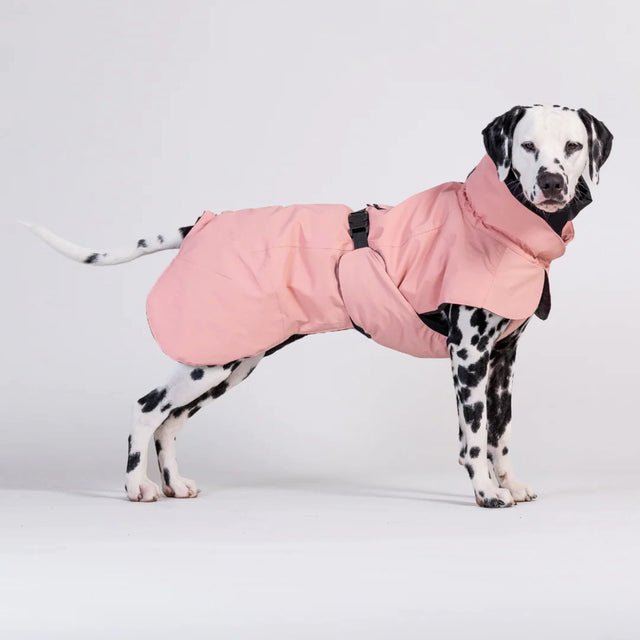 PAIKKA Hundewintermantel, Visibility Wool Rose Hundewintermantel