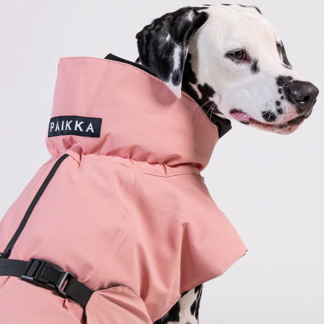 PAIKKA Hundewintermantel, Visibility Wool Rose Hundewintermantel
