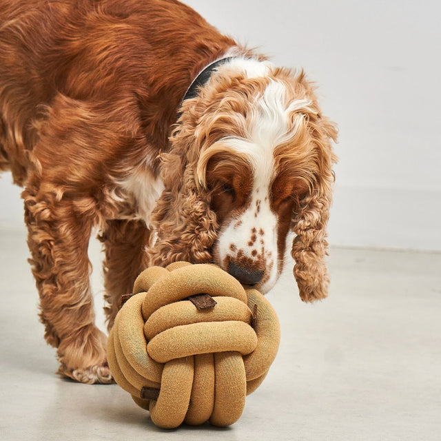 MiaCara Schnüffelspielzeug Tubo, Dusty Orange Interaktiv