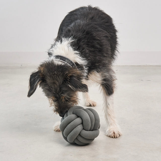 MiaCara Schnüffelspielzeug Tubo, Dusty Orange Interaktiv