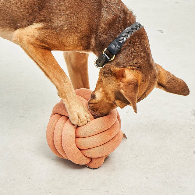 MiaCara Schnüffelspielzeug Tubo, Dusty Orange Interaktiv