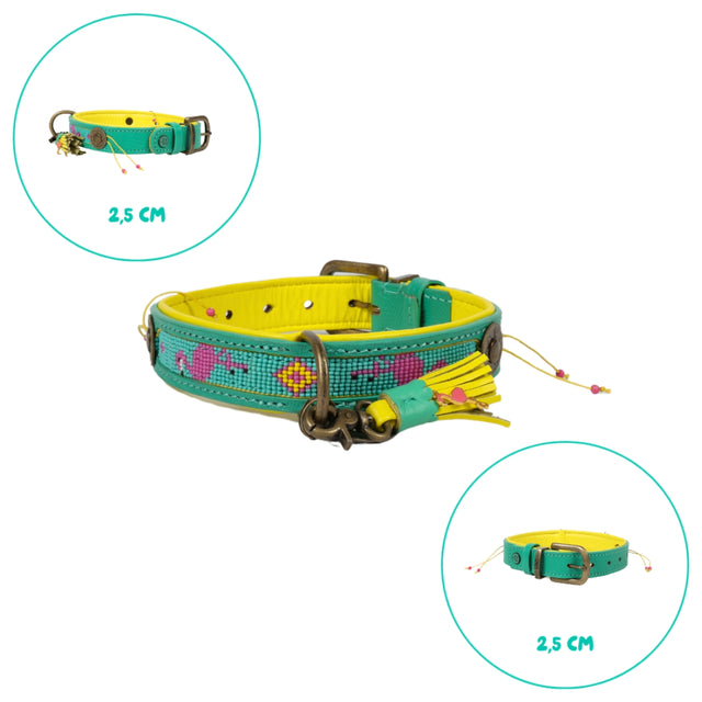 Dog with a Mission Hundehalsband, Chogogo Hundehalsband