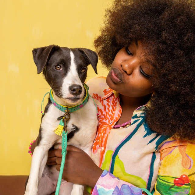 Dog with a Mission Hundehalsband, Chogogo Hundehalsband