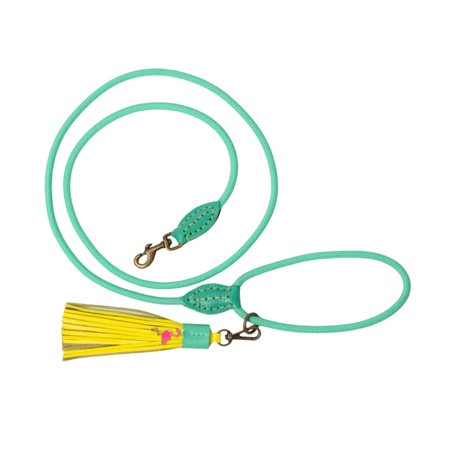 Dog with a Mission Hundeleine, Chogogo Hundeleine