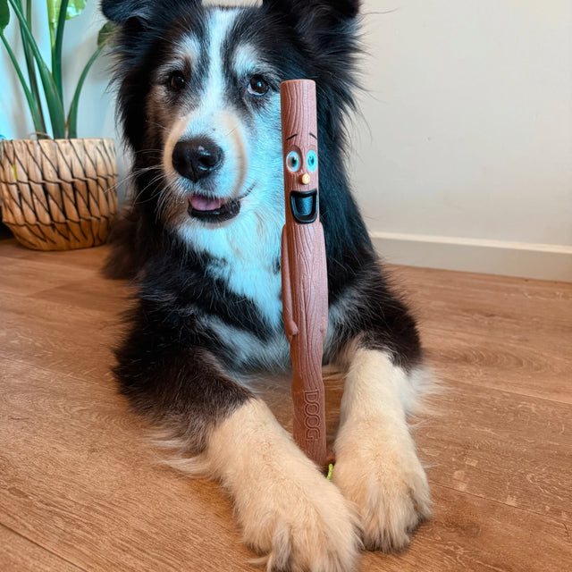 DOOG DOOG Stick Family Toys, Woody Wurfspielzeug