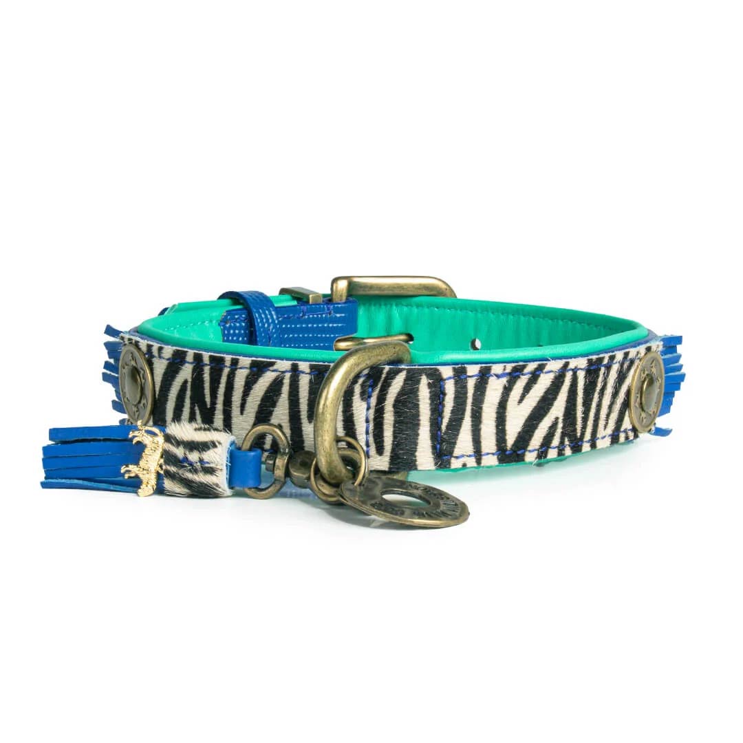Free Sunday Hundehalsband Mit Dinosaurier-Motiv Und Schleife – Niedliches Accessoire Für Deinen Hund