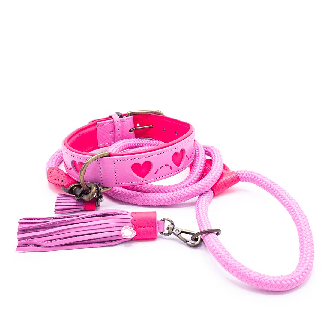 MuttNation Hundehalsband Von Miranda Lambert – Pink Mit Bandana-Druck & Strass