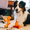 P.L.A.Y. Hundespielzeug Balloon Buddy Stoffspielzeug