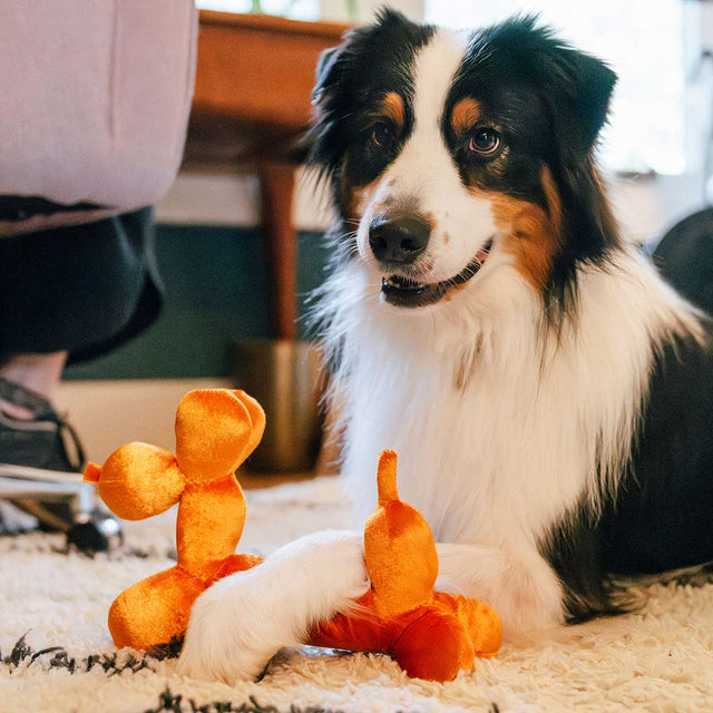 P.L.A.Y. Hundespielzeug Balloon Buddy Stoffspielzeug