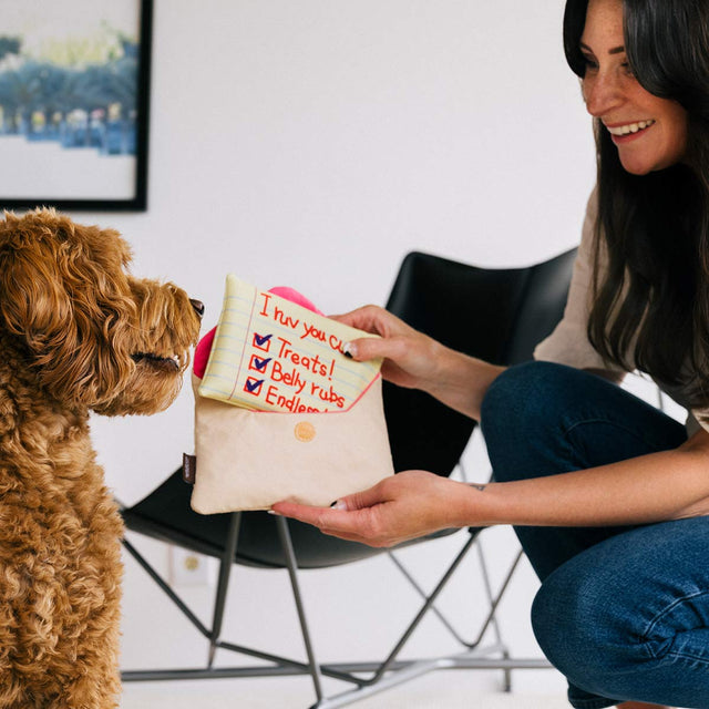 P.L.A.Y. Hundespielzeug Liebesbrief „I Ruv You" Stoffspielzeug
