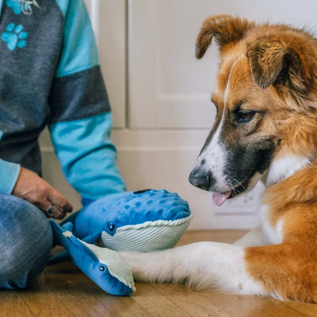 P.L.A.Y. Hundespielzeug Big Blue & Baby Blue Stoffspielzeug