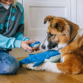 P.L.A.Y. Hundespielzeug Big Blue & Baby Blue Stoffspielzeug