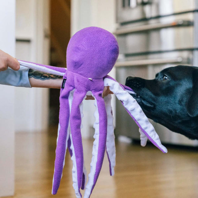 P.L.A.Y. Hundespielzeug Opal der Oktopus Stoffspielzeug