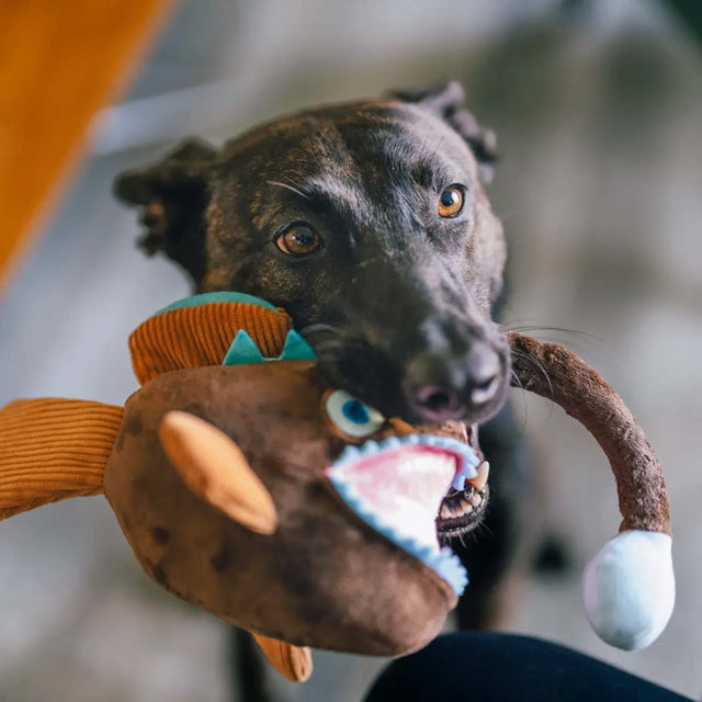 P.L.A.Y. Hundespielzeug Anglerfisch Stoffspielzeug