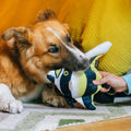 P.L.A.Y. Hundespielzeug Fahnenfisch Stoffspielzeug